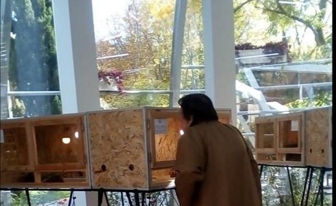 Интернет е взривен от родната история на жената, която не спира да учи 
