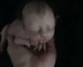 Странно ВИДЕО на котенце с детско лице разбуни духовете в Малайзия, хората настояват да узнаят истината за загадъчната твар 