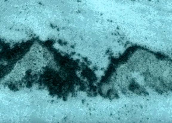 Google Earth засне нещо много странно край бреговете на Флорида! Възможно ли е това? (ВИДЕО)