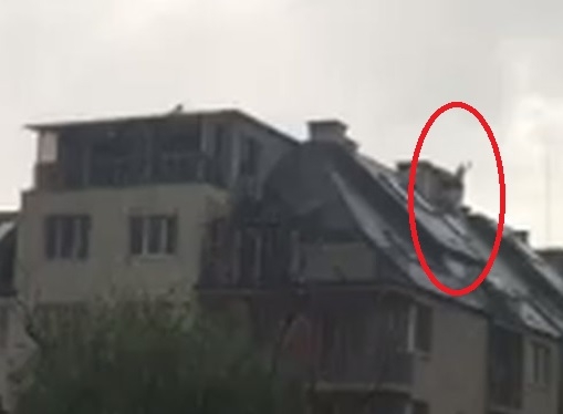 Само в БЛИЦ! Чисто луд! Този столичанин събра очите на комшиите си (СНИМКА/ВИДЕО)