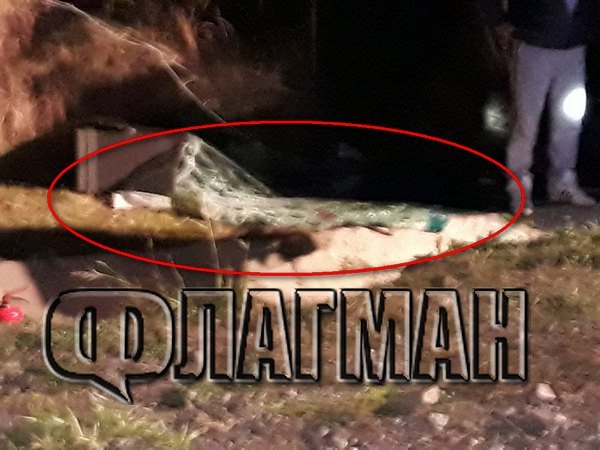 Резултатите от кръвната проба на шофьора, който обърна автобус на АМ "Тракия", показаха, че...