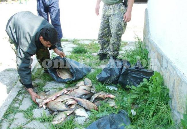 Голяма слука за инспектори от Монтана в дома на бракониера Пламен Видрата