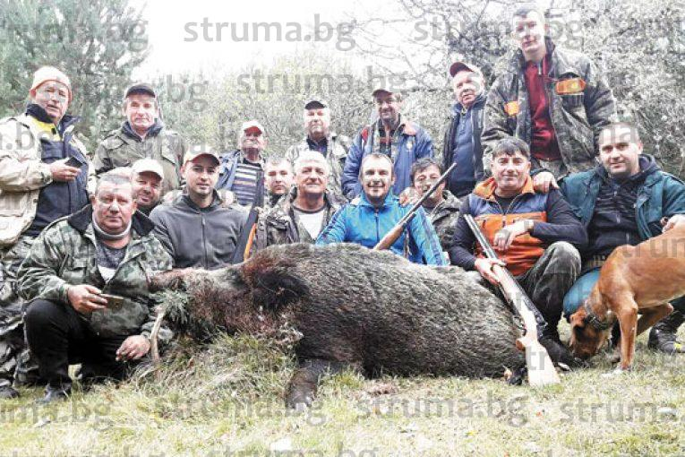 Предприемач от Струмяни се сдоби с нов, 220-килограмов трофей (СНИМКИ)