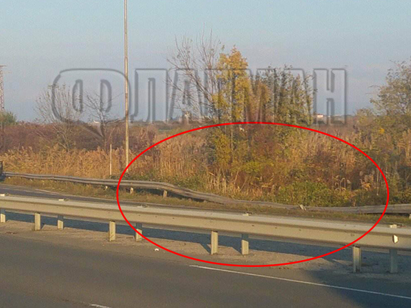Разкритие: Райсърката Рая е виновна за мелето край Сарафово