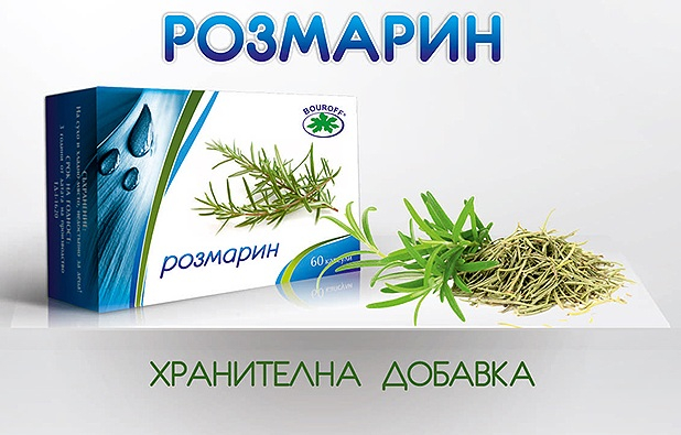 Какви са големите ползи от розмарина и при какви болки да го приемаме?