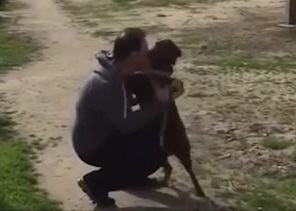 Трогателно ВИДЕО от среща на куче и стопанин след дълга раздяла докосна потребителите