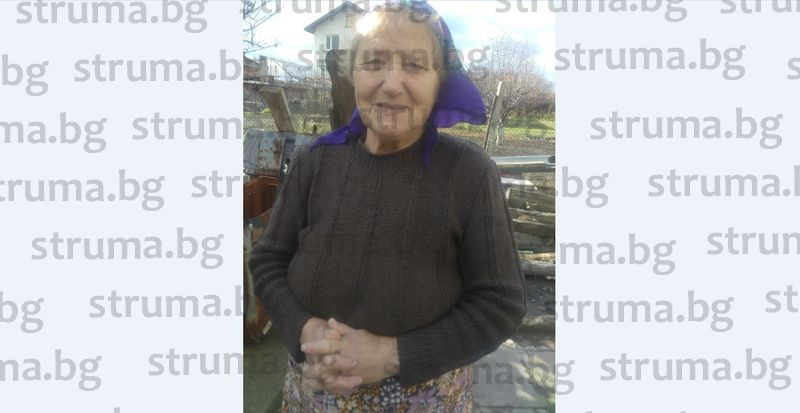 В двора на 79-годишната баба Ана влезе 100-килограмов звяр, но селският кмет се притече на помощ и го уби с два куршума (СНИМКИ)