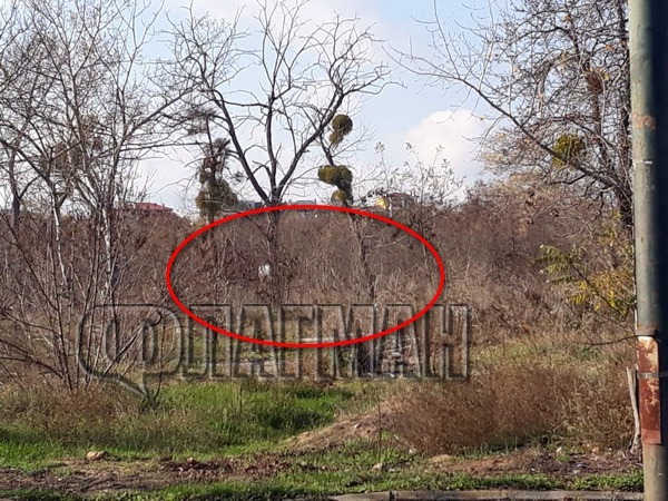 Ето на това място в Несебър двама българи за малко не бяха убити от свирепи роми