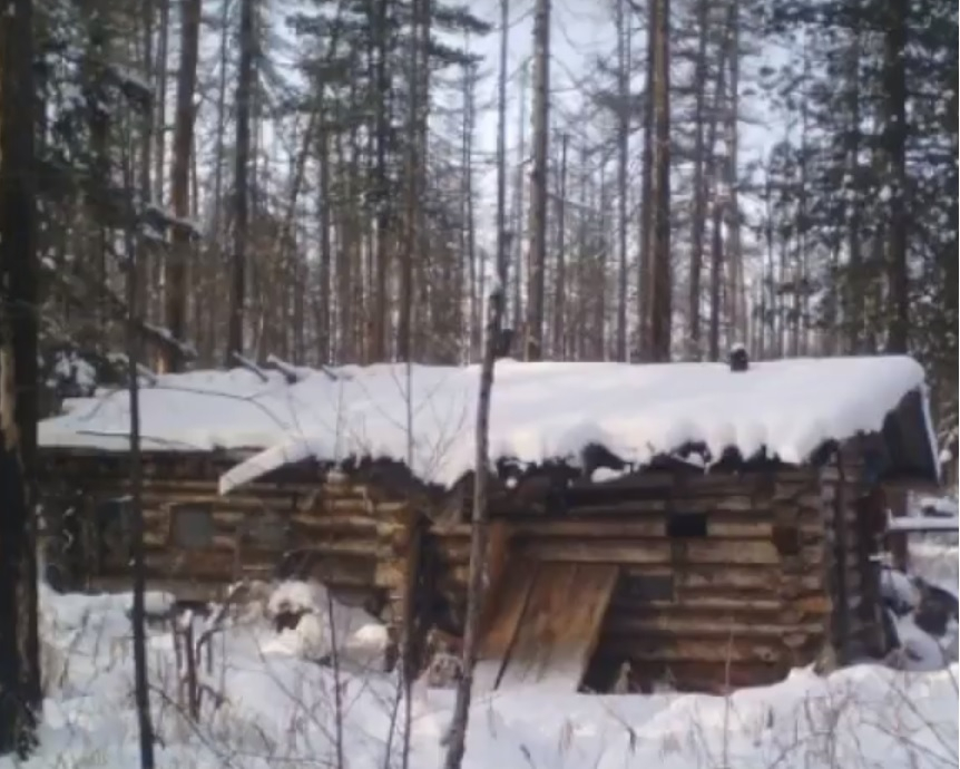 Велика авджийска история за ловец и мечка, но истинска (ВИДЕО)