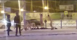 Изгубили са бас? Чисто голи младежи правиха физзарядка на главна улица при минусови температури (ВИДЕО 18+)