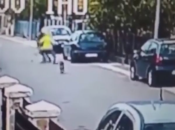 Ще ви падне ченето, когато видите какво прави това куче-герой! (ВИДЕО)