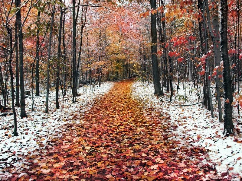 Дежурният синоптик на НИМХ към БАН Анна Дякова прогнозира завръщане на есента 