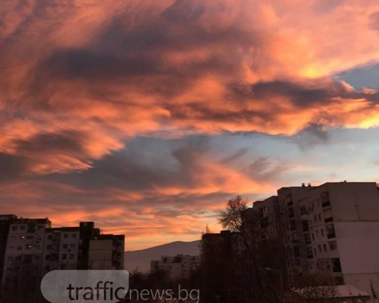 Пловдивчани онемяха пред вида на тези СНИМКИ