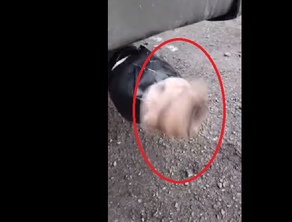 Рекорд! Това ВИДЕО с вагина са го гледали над 22 милиона за 5 дни