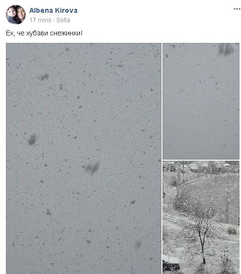 Зимата се върна! Едри бели парцали заваляха над София (СНИМКИ/ВИДЕО)
