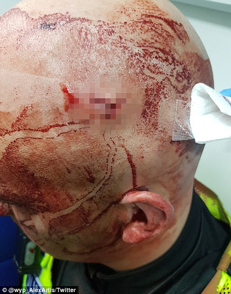 Британската полицията показа СНИМКИ на пили до безсъзнание англичани по случай празниците (СНИМКИ)