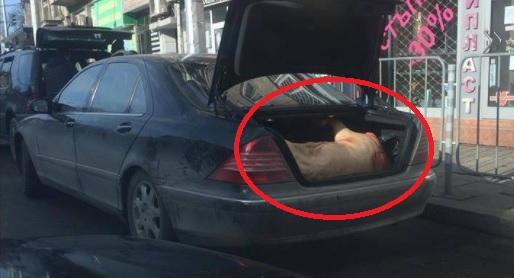 Само в БЛИЦ! След кървавото клане зад столичен блок, сега СНИМКА (18+) на труп, наврян в багажника на „Мерцедес“, втрещи всички