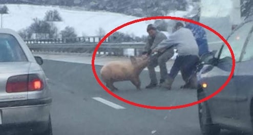 Само в БЛИЦ! Черната серия продължава: Първо кърваво клане зад софийски блок, после труп в багажника на "Мерцедес", а сега и отвличане насред магистралата (СНИМКА)