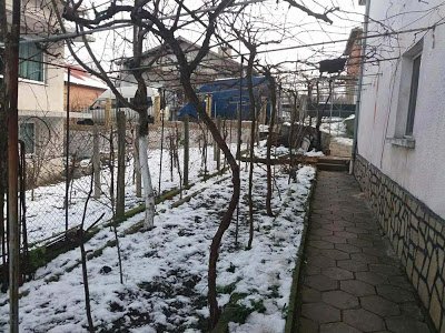 Нещо безумно красиво се случи край Кърджали (СНИМКИ)