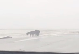 Интересно! Коне паднаха на хлъзгав път, пързалят се като с кънки на лед (ВИДЕО)