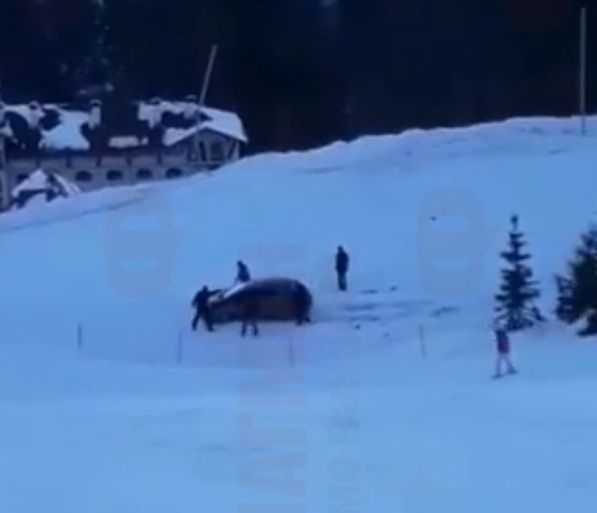 Пълен потрес на писта в Пампорово, за тази случка ще се говори дълго (ВИДЕО)