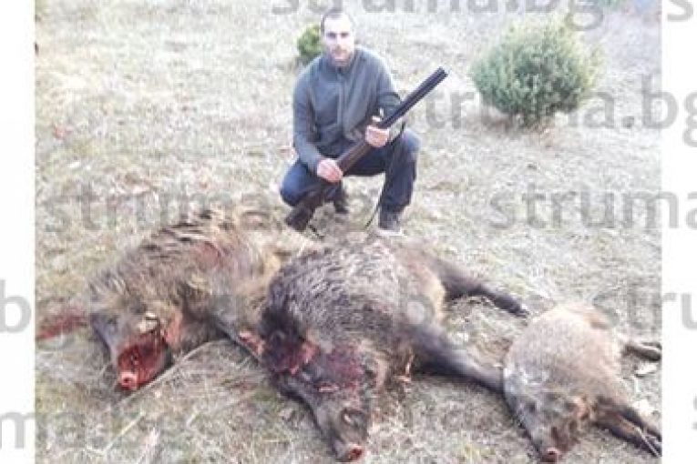 Пожарникар футболист гръмна в един ден 3 прасета с пушка „Меркел“