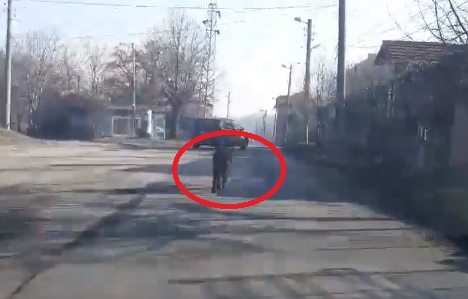 Обезумял и опасен звяр галопира из Оряхово и върши поразии на ред! Сковани от ужас хора го СНИМАХА