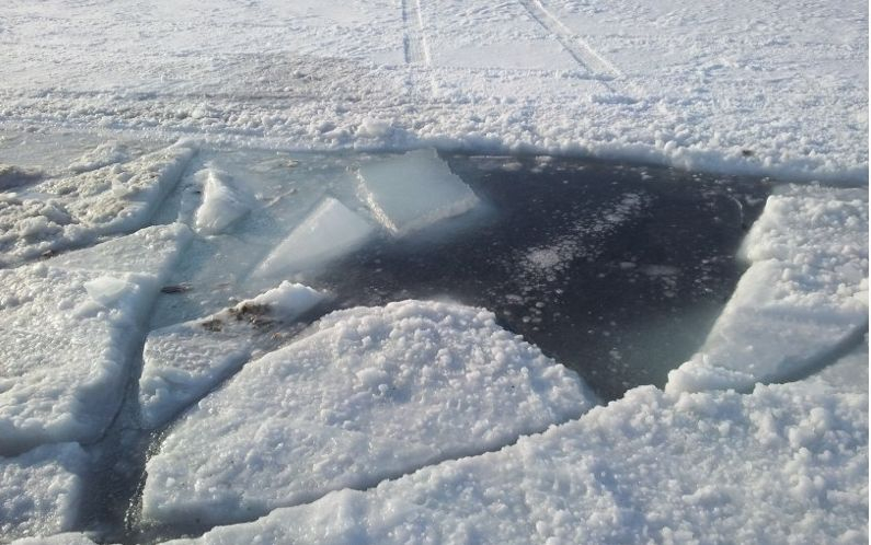 Смелчага само по боксерки се хвърли с риск за живота да спасява куче от леден капан (ВИДЕО)