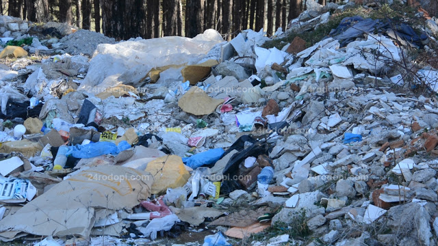 Няма да повярвате в какво се превърна "любовната горичка" на Кърджали 
