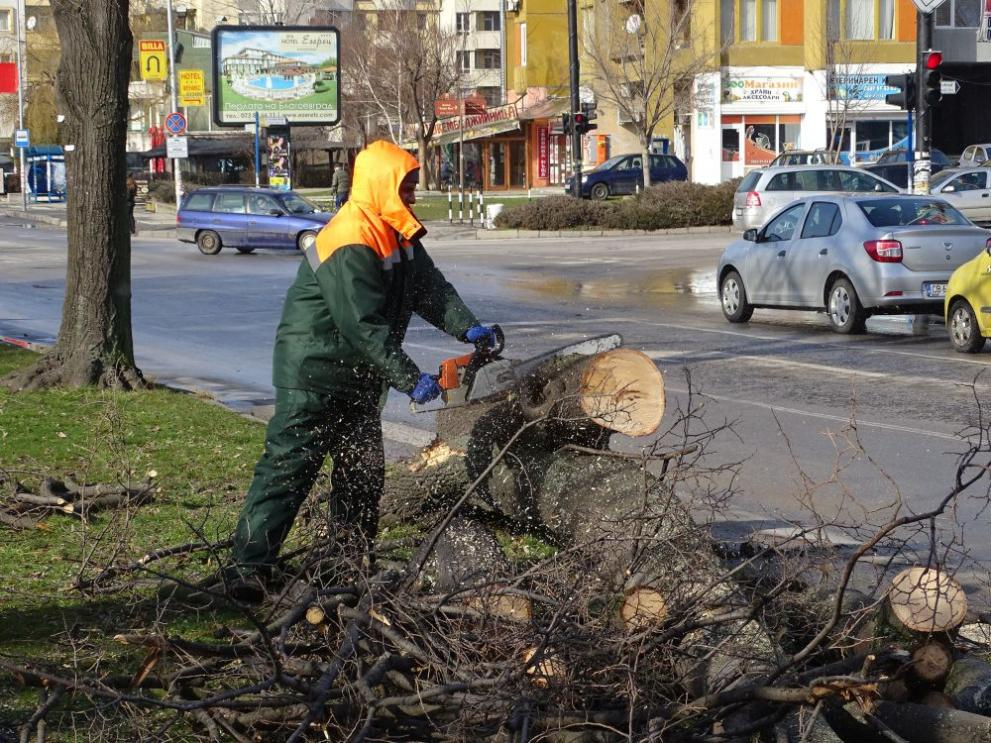 Ураганен вятър нанесе куп щети в Благоевградско (СНИМКИ)