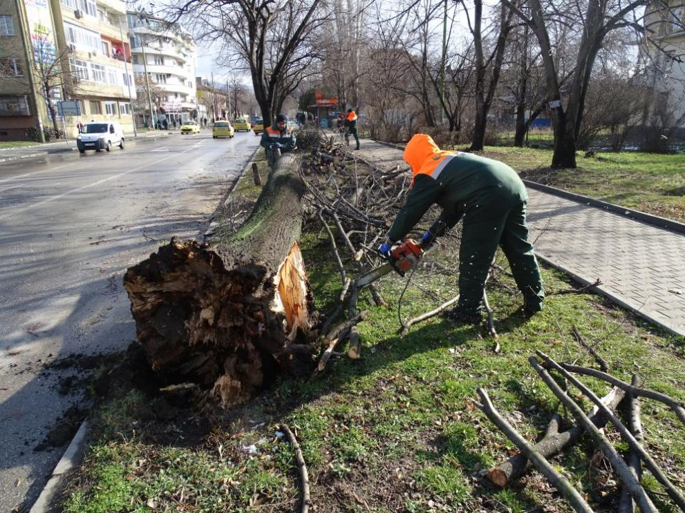 Ураганен вятър нанесе куп щети в Благоевградско (СНИМКИ)