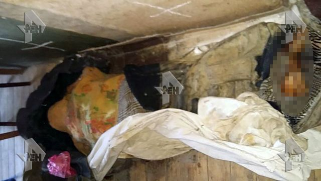 От Къщата на ужасите край Москва изскочиха още трупове, разследващите се хванаха за главата от видяното (СНИМКИ)