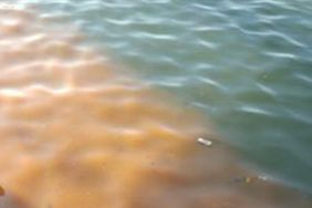 Шок в Бургас! Оранжева течност изплува във водата на Морска гара (СНИМКИ)