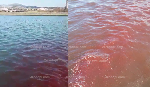 Шокирани кърджалийци: Тонове кръв се изливат във Водното огледало (ВИДЕО)