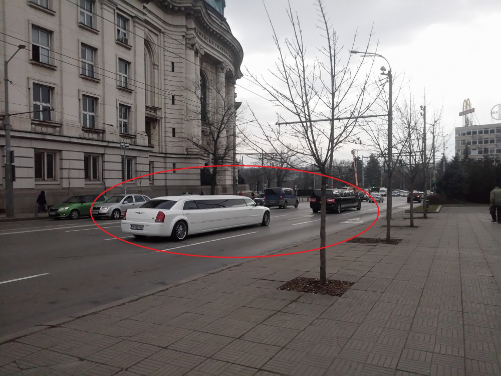 Такова нещо рядко може да се види пред Софийския университет (СНИМКИ)