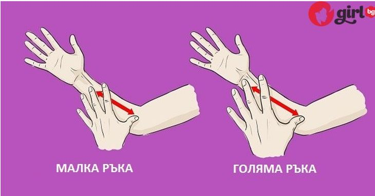 Феноменално! Нужно е само да измерите ръката си, за да разберете всичко за себе си! 