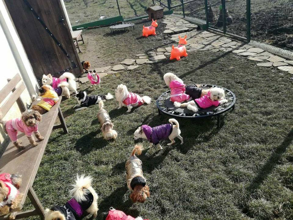 Всички се шашардисаха от това, което данъчните във Варна пуснаха на търг, но сега се появиха кошмарни разкрития (СНИМКИ)