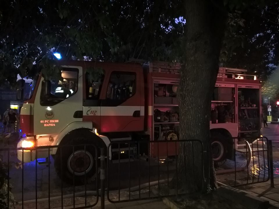 Сигнал до БЛИЦ: Дърво падна върху ограда в "Лозенец"