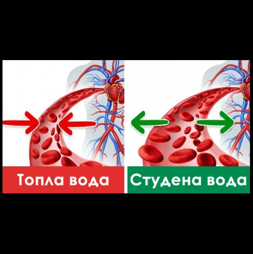 Всички казват, че трябва да пием вода, а знаете ли каква е най-полезна - топла или студена? (СНИМКИ)