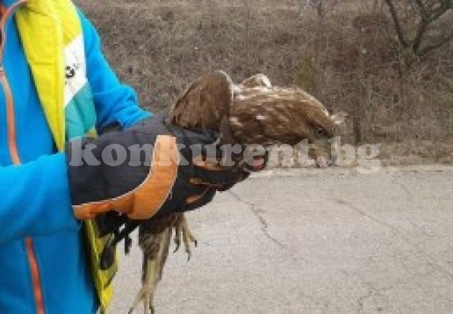 Жандармерист-парапланерист направи нещо, което трябва да е за пример на всички