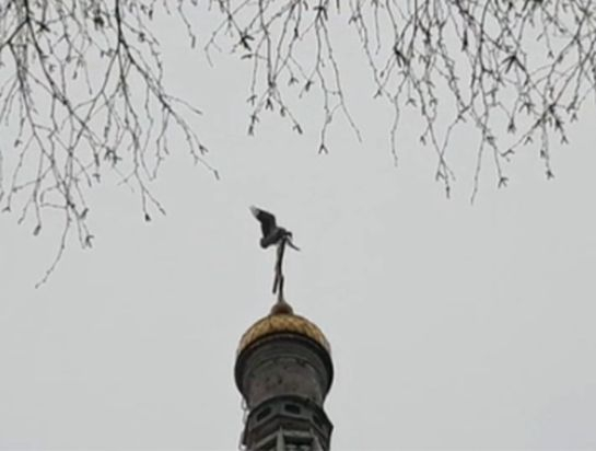 Иде пролетта! Щъркел "запечатан" на купола на "Рождество Христово" в Шипка (СНИМКА)