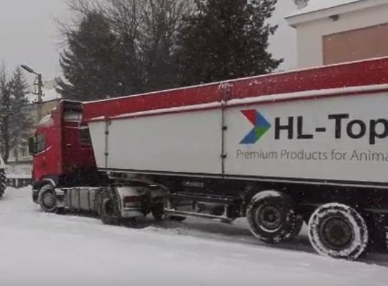 ТИР закъса насред площада на николаевско село, местните взеха нещата в свои ръце и... (ВИДЕО)