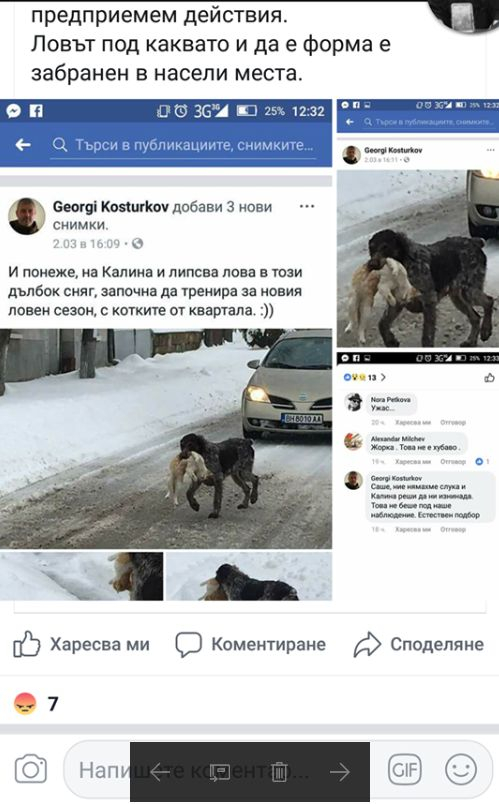 Бизнесмен тренира кучето си с котки на съседите и се хвали с кървавите му подвизи в мрежата (БРУТАЛНИ СНИМКИ) 
