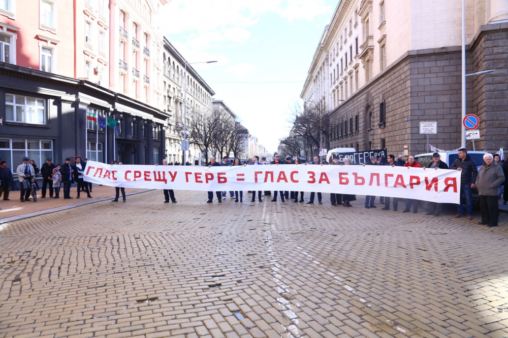 Нинова застана начело на протеста срещу сделката с ЧЕЗ (СНИМКИ)