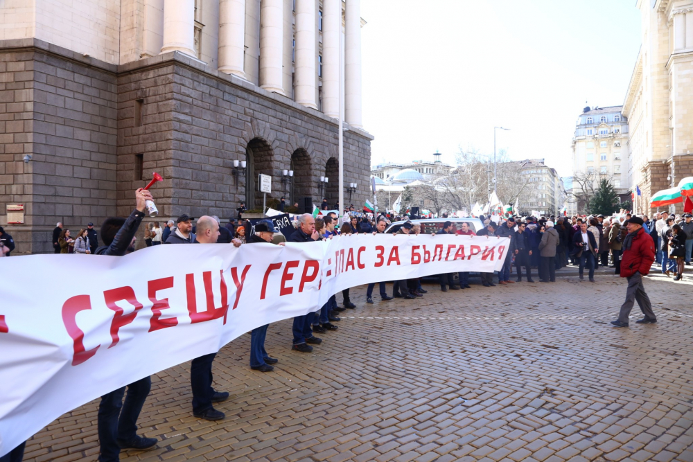 Нинова застана начело на протеста срещу сделката с ЧЕЗ (СНИМКИ)