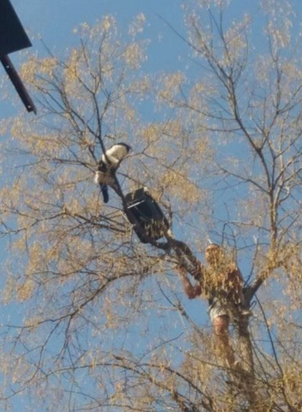 Няма да повярвате заради какво алпинист от Бургас измина 300 километра до Пловдив (СНИМКИ)