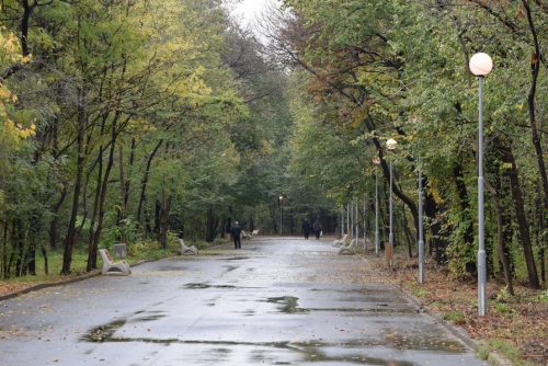 Дами, много внимавайте! Сексманиак броди из парк Лаута в Пловдив, поставил си е и секс играчка сред алеите (СНИМКИ)