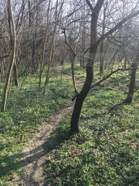 Дами, много внимавайте! Сексманиак броди из парк Лаута в Пловдив, поставил си е и секс играчка сред алеите (СНИМКИ)