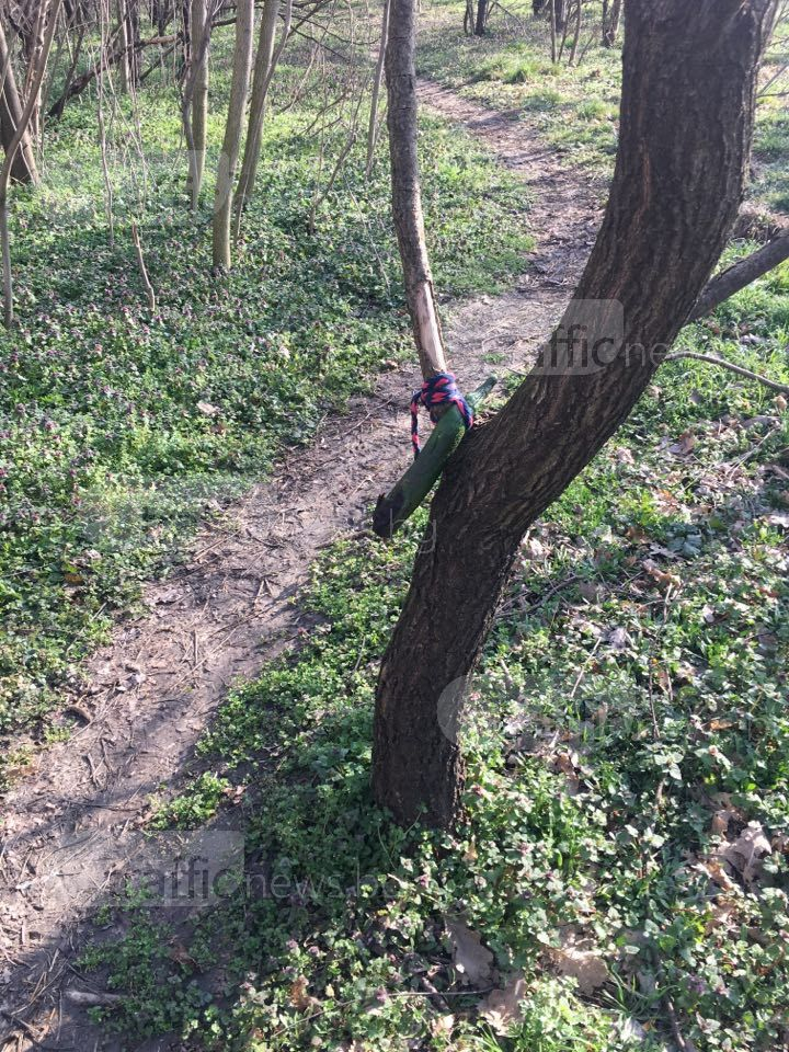 Дами, много внимавайте! Сексманиак броди из парк Лаута в Пловдив, поставил си е и секс играчка сред алеите (СНИМКИ)