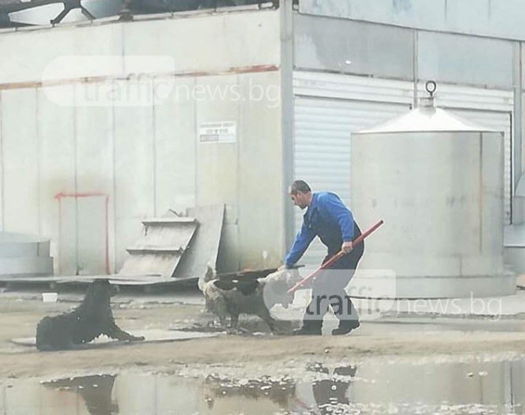 Варварска жестокост в Пловдив: Смърт след зверски побой с метална тръба (СНИМКИ)